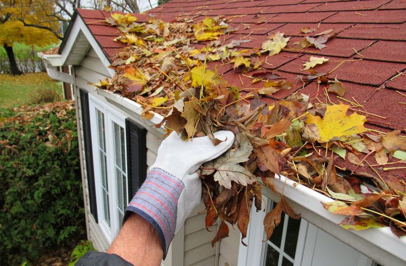 Gutter Leaves Removal