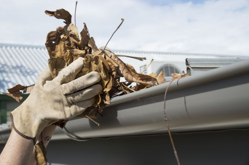 Gutter Leaves Removal