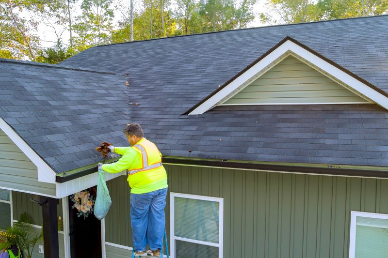 Rain Gutter Cleaning Service
